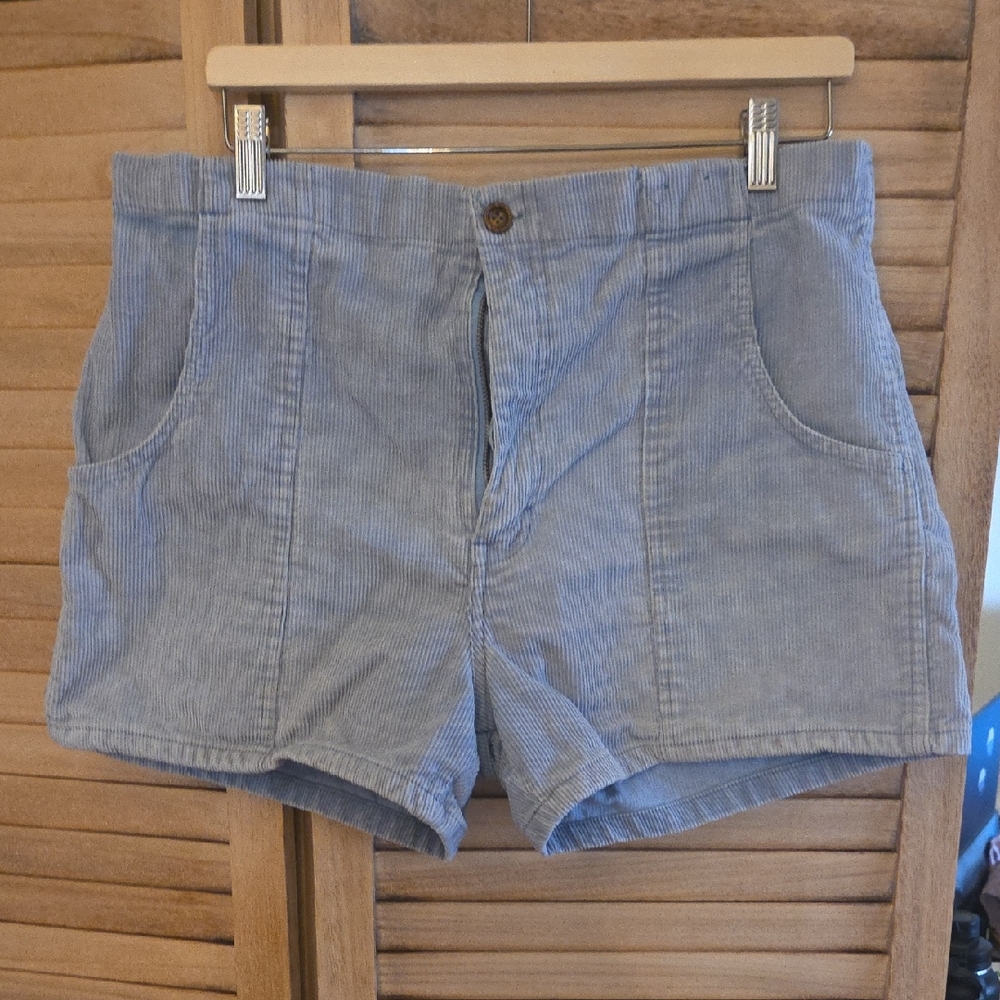 Weeds Vintage Blue High Waist Corduroy Shorts